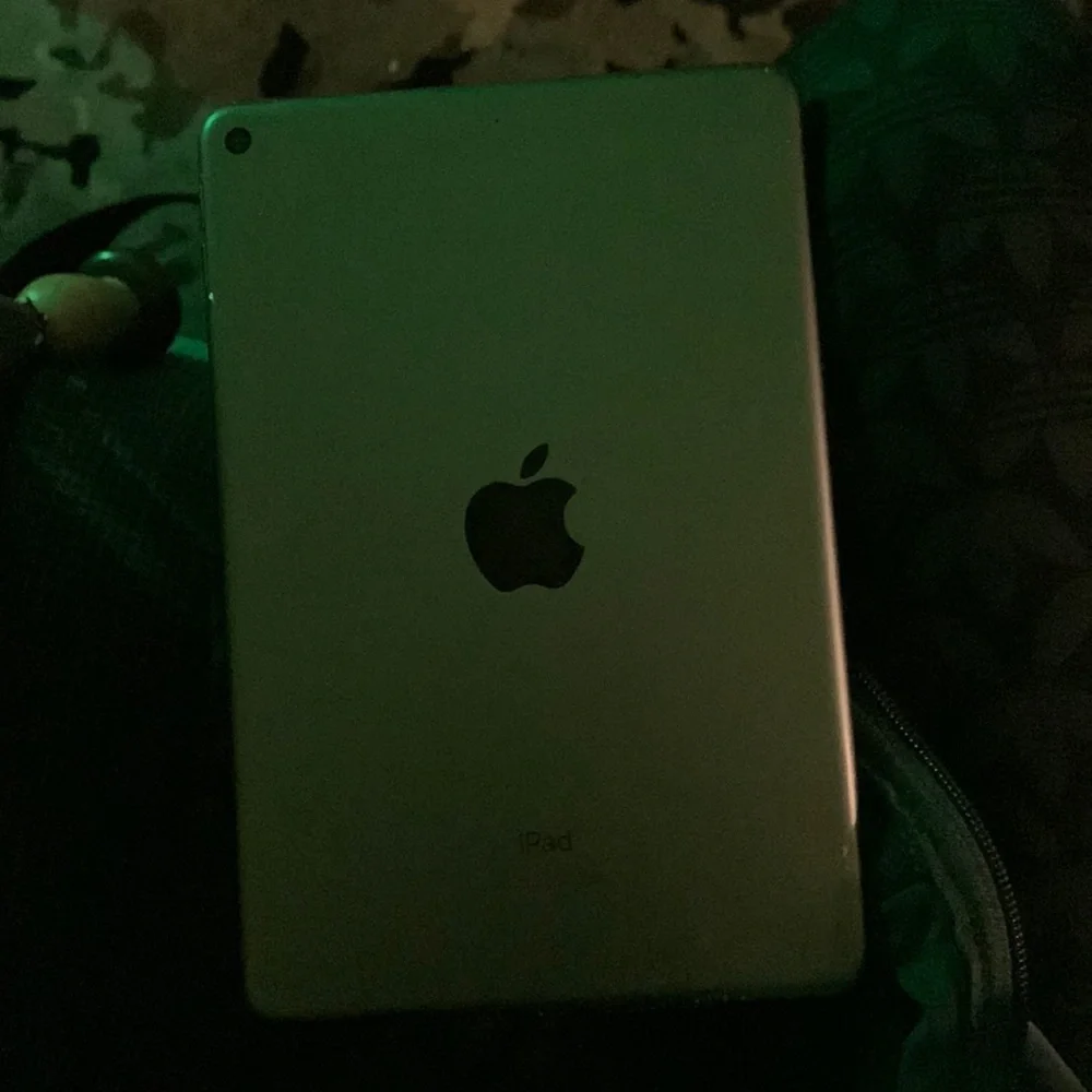 iPad mini model A2133 2008 7th gen space gray 256gb